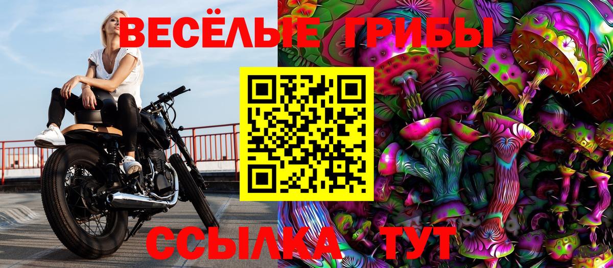Шали  Галлюциногенные грибы прущие грибы  Вход с VPN 