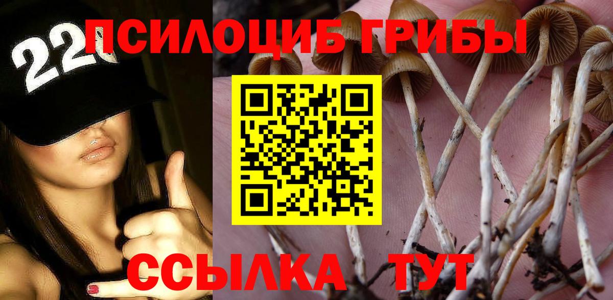 Псилоцибиновые грибы GOLDEN TEACHER Шали